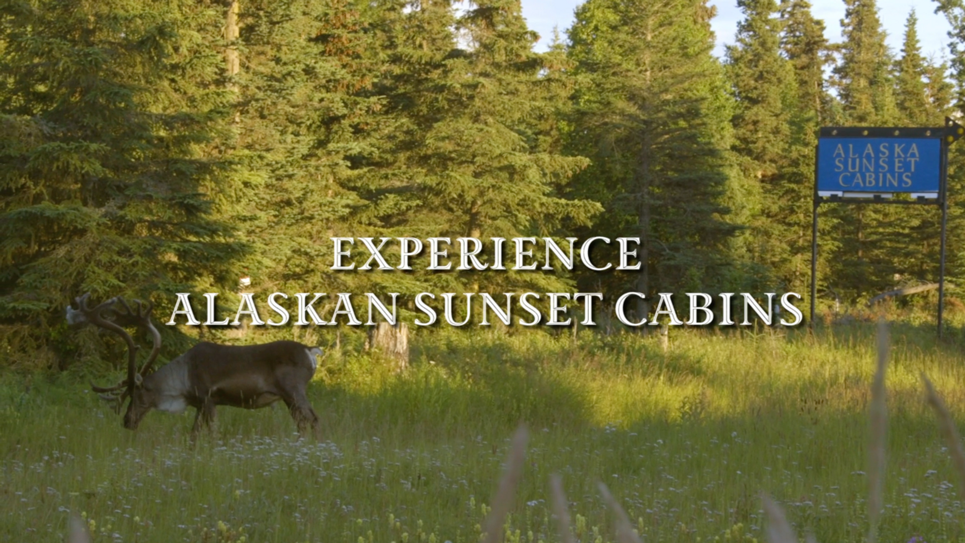 Experience the Kenai at Alaskan Sunset Cabins